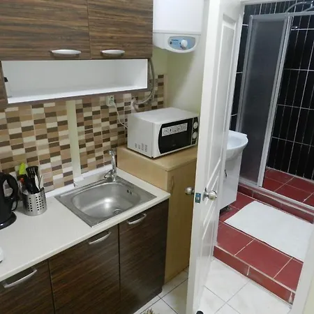 House Taksim Vip דירה *